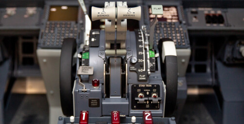 Išbandyk realaus skrydžio simuliatorių #9