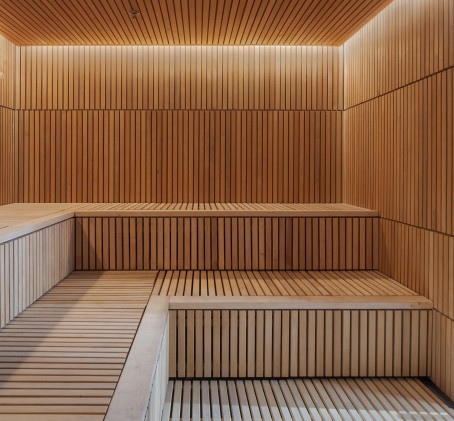 Apsilankymas „The V Spa & Wellness“ centro vandens ir pirčių erdvėje DVIEM