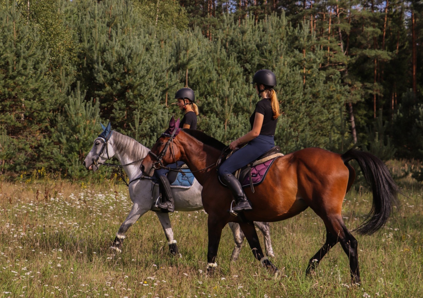 Pažintis su žirgais jojimo klube „Pagauk vėją”