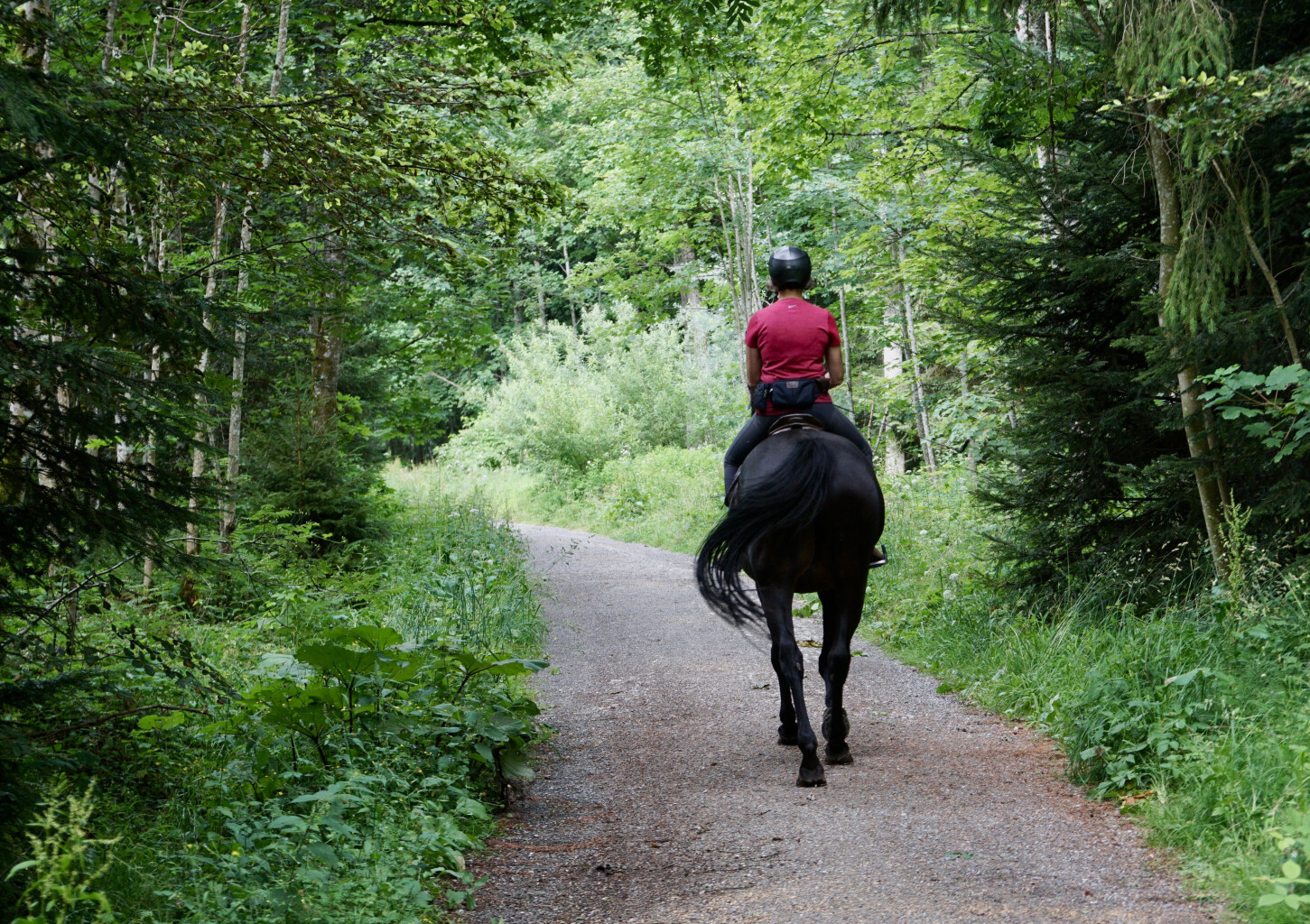 Individualus jodinėjimas po Anykščių apylinkes