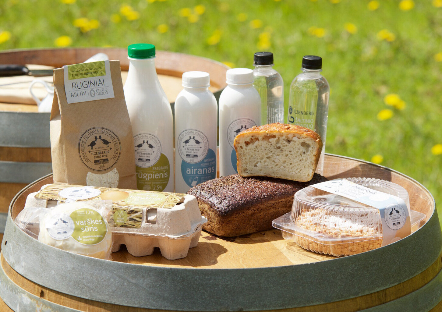 Ekskursijos Ilzenbergo dvare ir iškyla gamtoje dviem