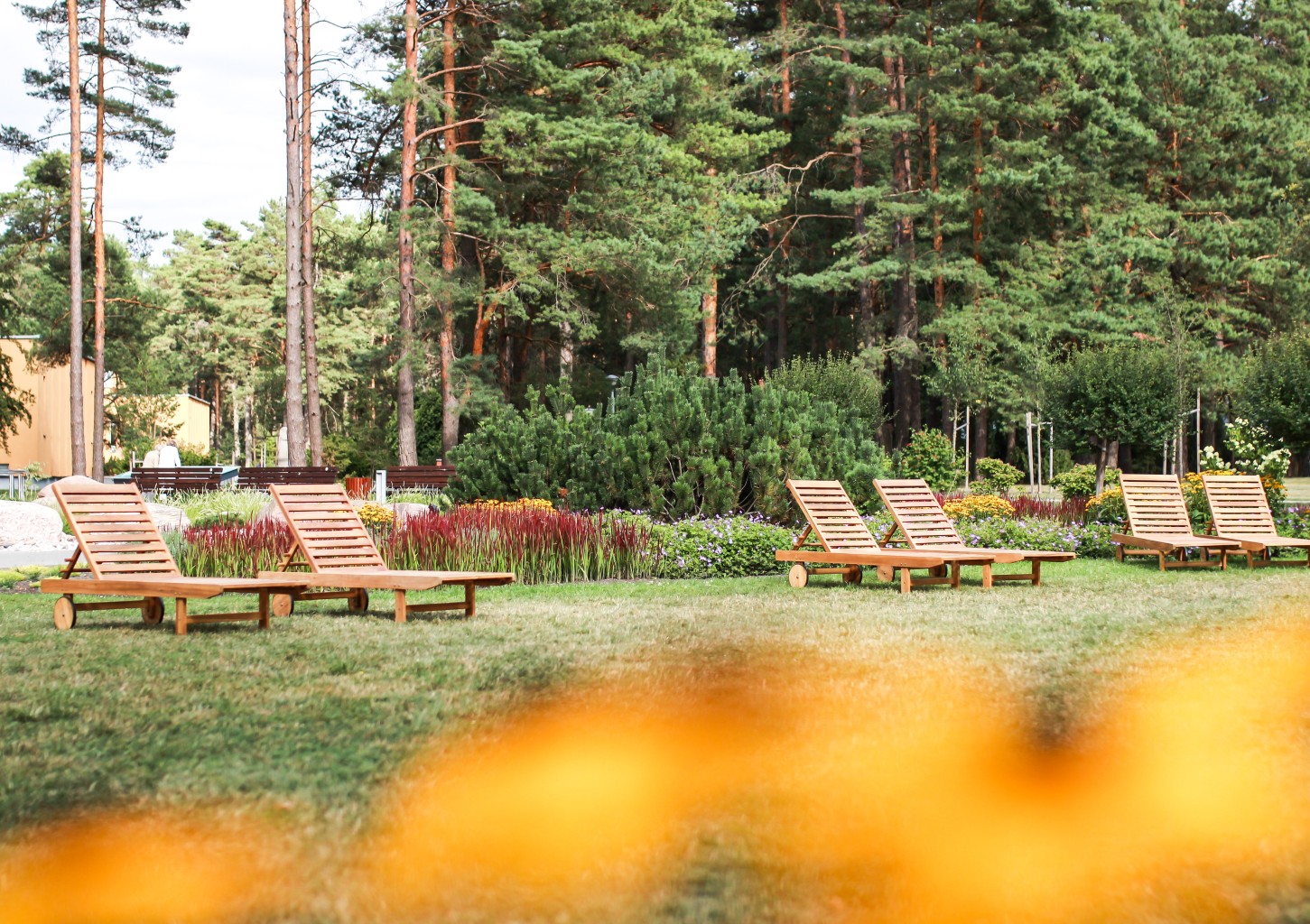 3 naktys „viskas įskaičiuota“ „Eglės sanatorijoje“ Comfort 2 asm.