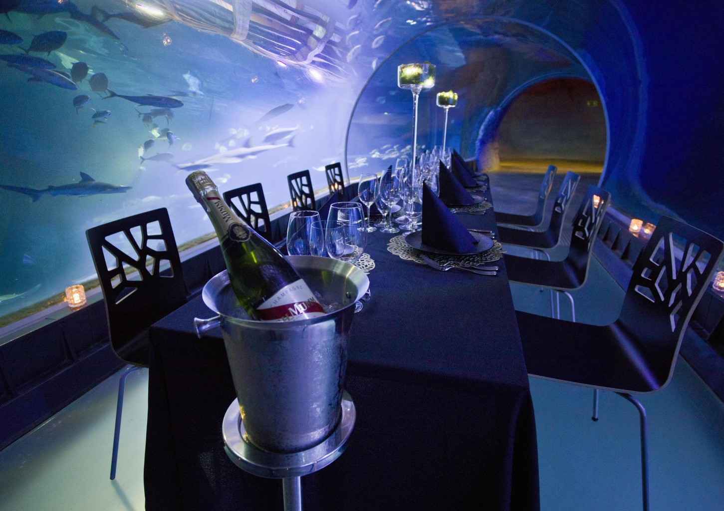 Povandeninė vakarienė Lenkijoje