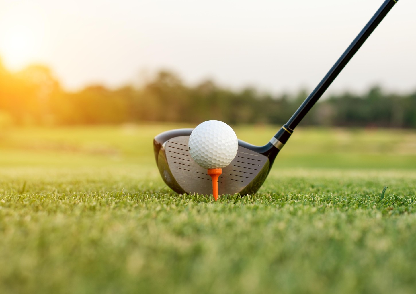 Žalios kortelės kursai (6 pamokos) DVIEM