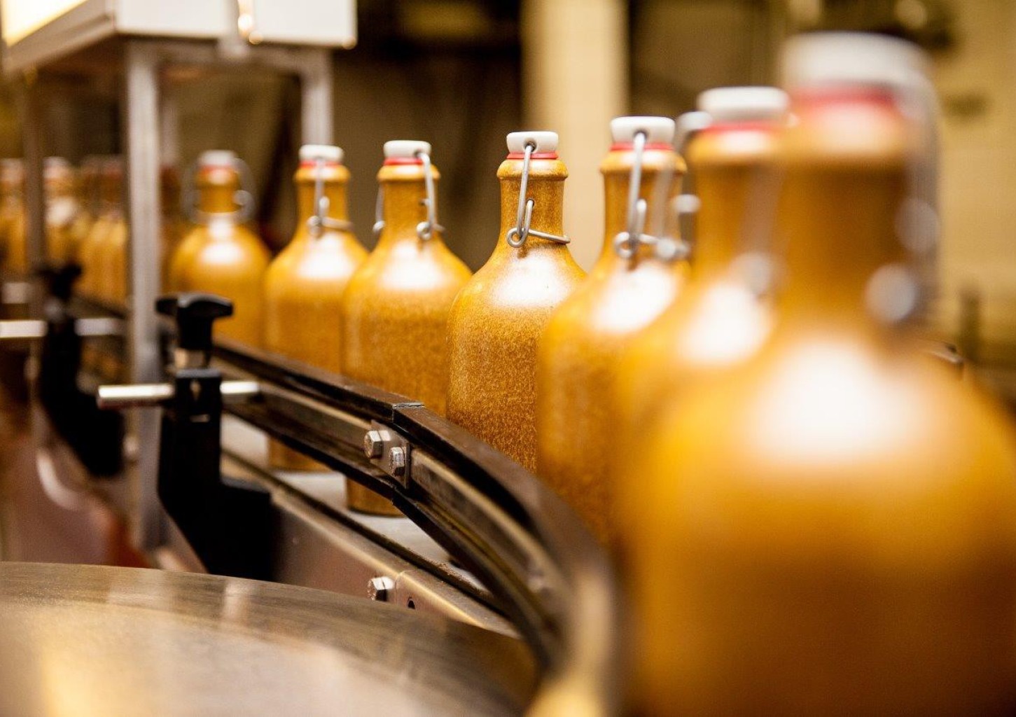 Midaus degustacija ir ekskursija po midaus muziejų dviem