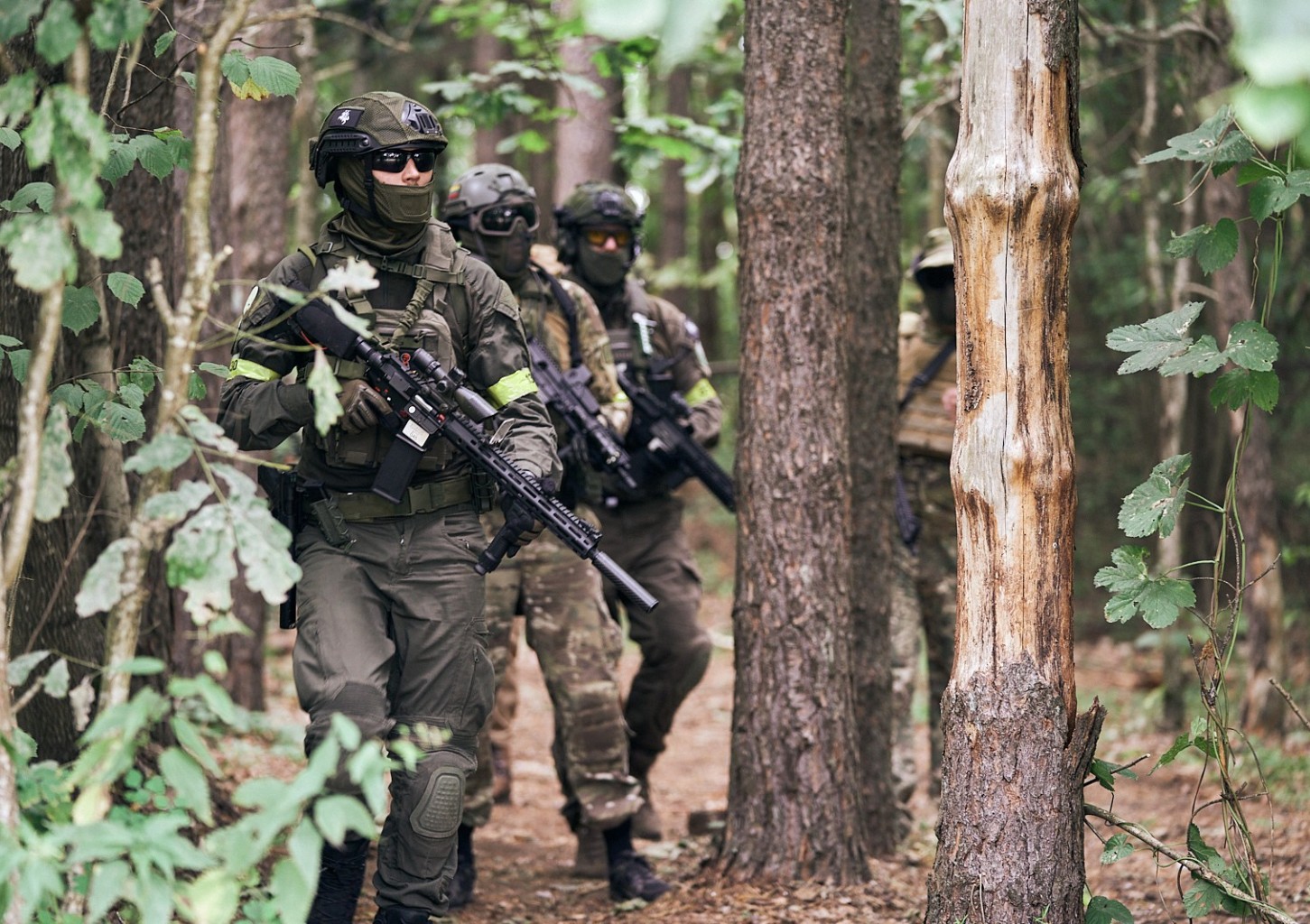 Šratasvydis su standartiniu įrangos komplektu