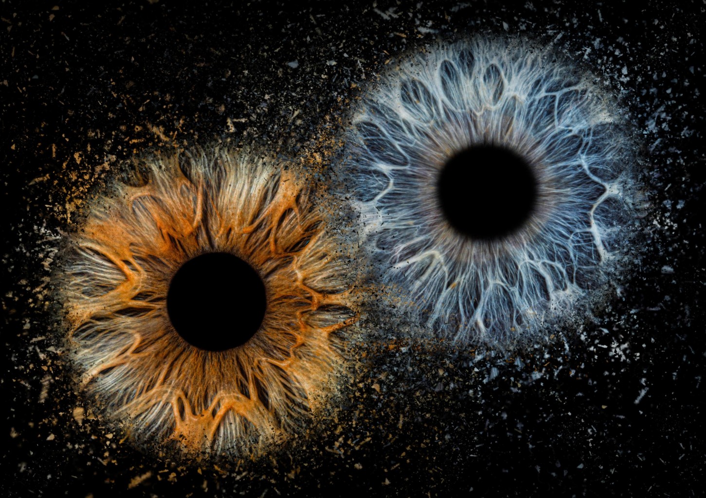 Skaitmeninė 2 akių rainelių nuotrauka