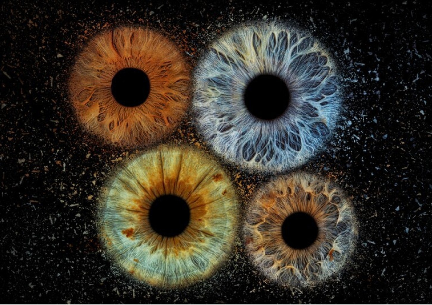 Skaitmeninė 3 akių rainelių nuotrauka studijoje „Akių fotografija“