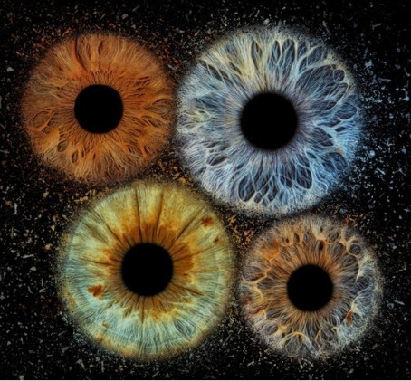 Skaitmeninė 3 akių rainelių nuotrauka studijoje „Akių fotografija“