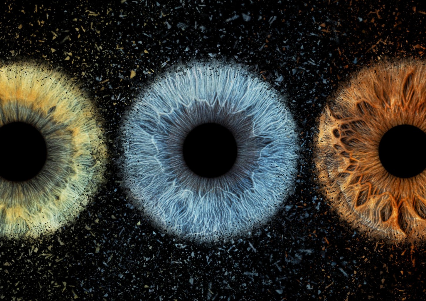 3 akių rainelių nuotrauka fotodrobėje