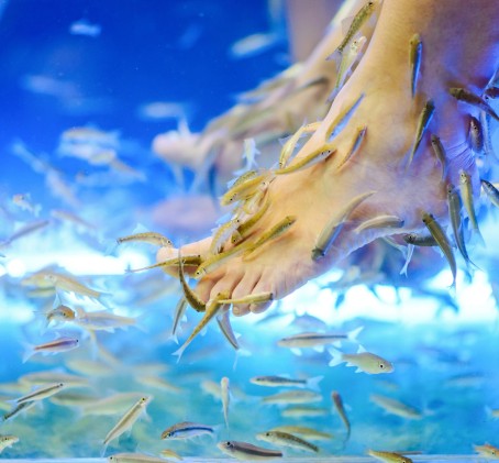 Žuvyčių SPA kojoms (10 min.)