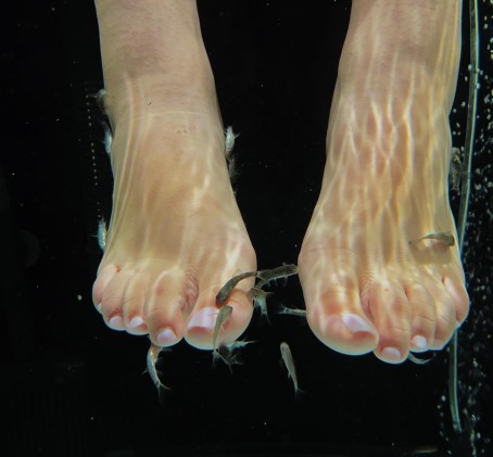 Žuvyčių SPA kojoms DVIEM (10 min.)