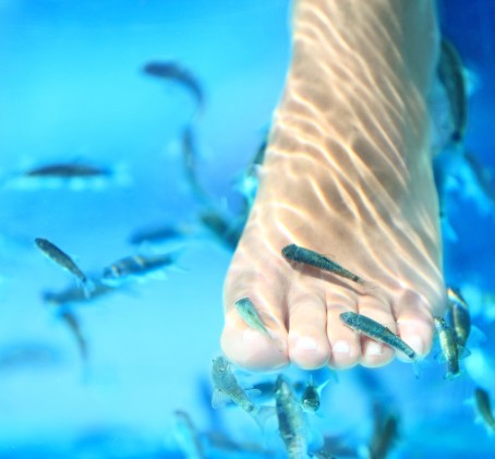 Žuvyčių SPA kojoms DVIEM (20 min.)