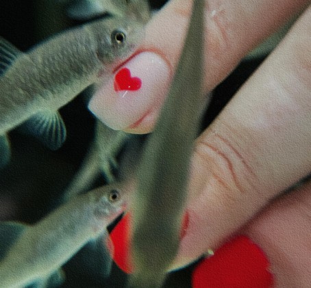 Žuvyčių SPA rankoms (10 min.)