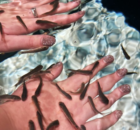 Žuvyčių SPA rankoms (20 min.)