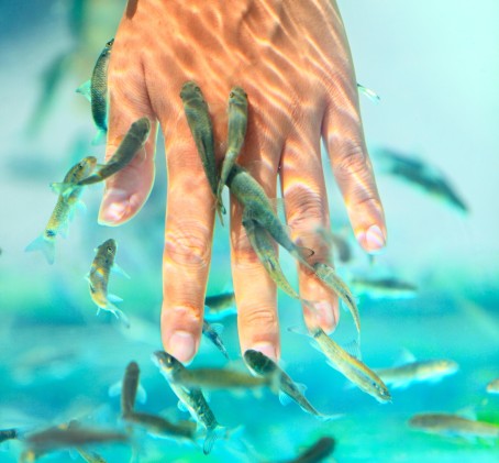 Žuvyčių SPA rankoms DVIEM (20 min.)