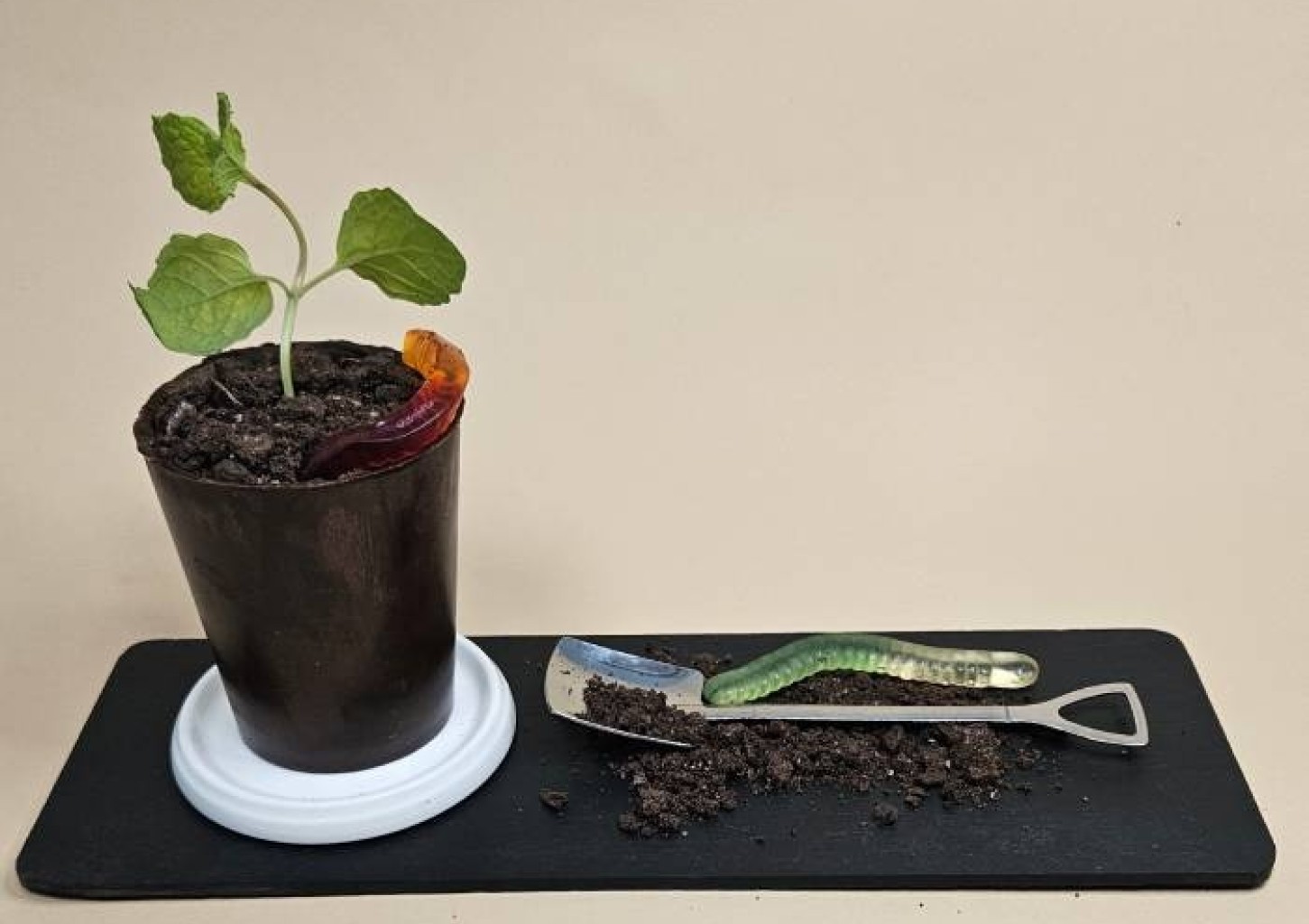 Šokoladinis gėlių vazonėlio desertas dviem