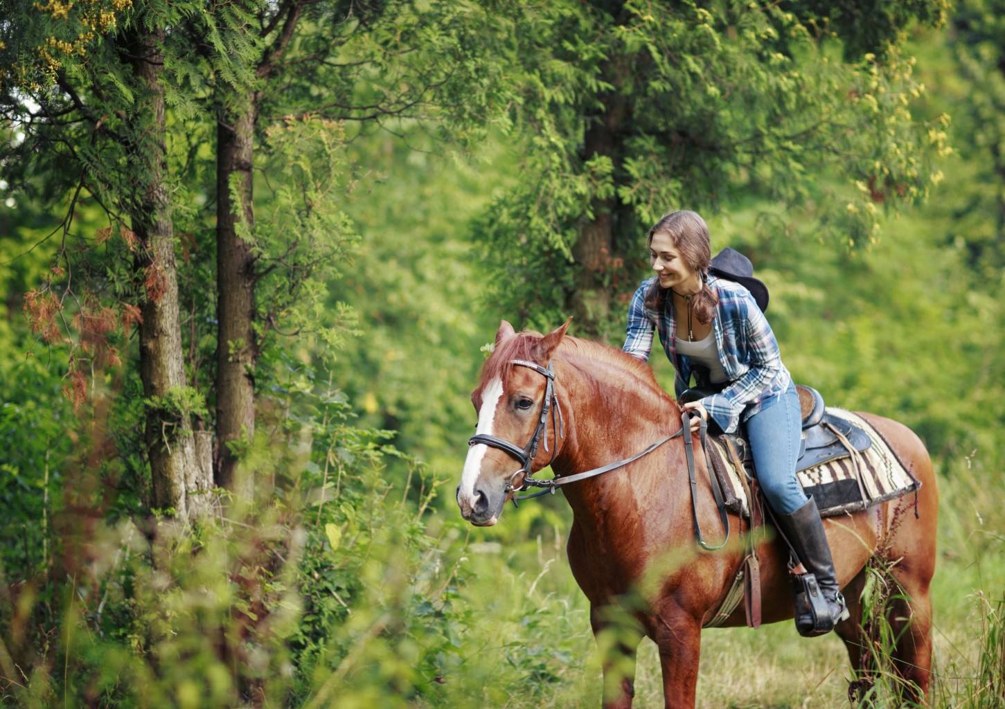 Jodinėjimas žirgais „Night rider“