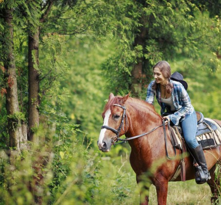 Jodinėjimas žirgais „Night rider“