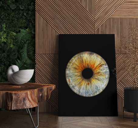 Skaitmeninė akies rainelės nuotrauka - Eye2Eye TRIMS