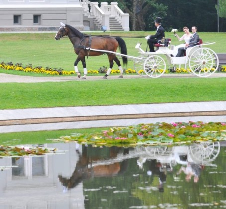 Pasivažinėjimas karieta „Rietavo žirgyne“