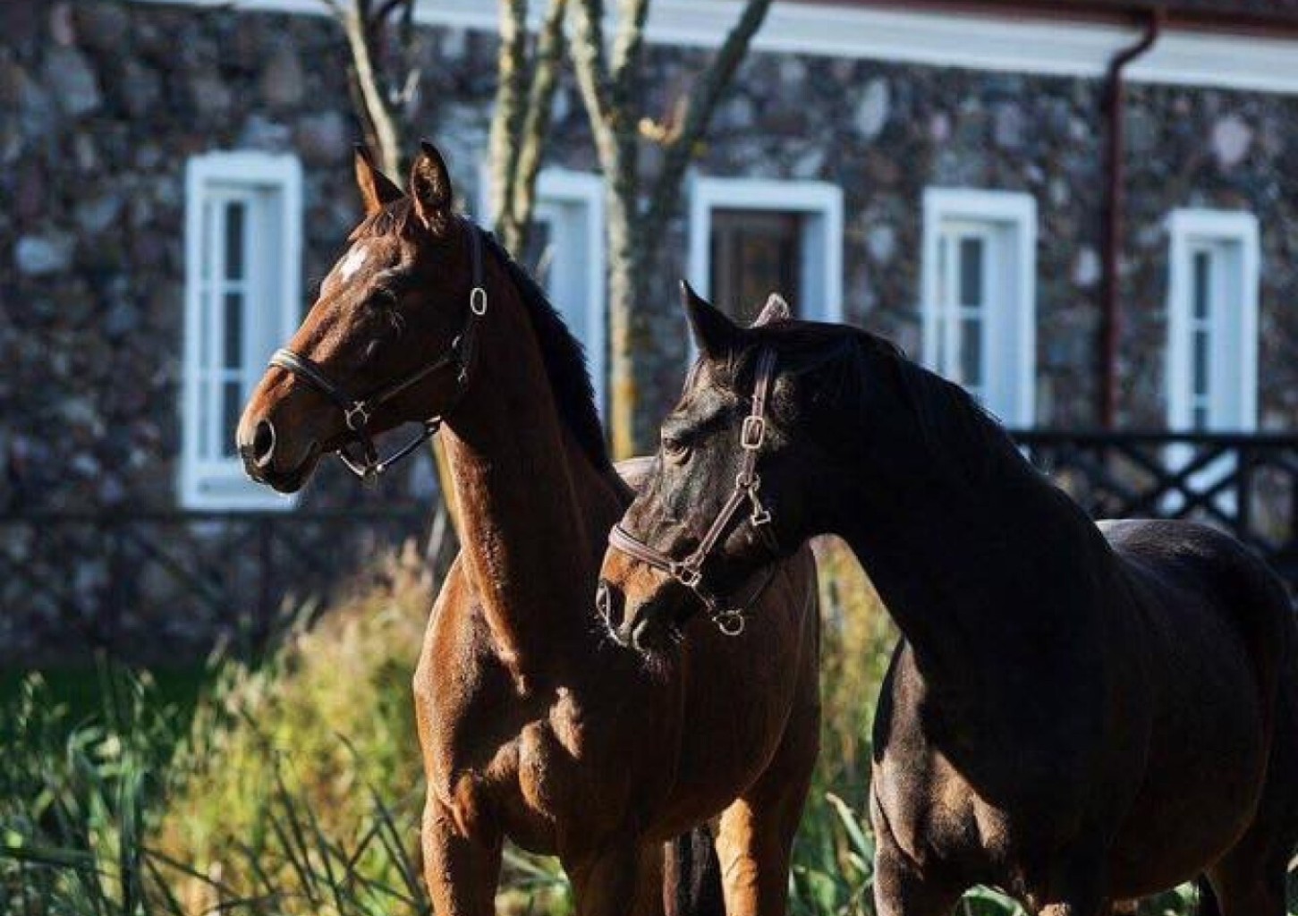 Nakvynė dvare, sporto pramogos ir mini SPA DVIEM