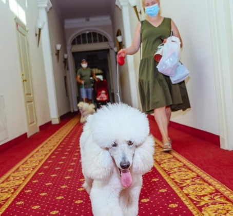 2 naktys geresniajame dviviečiame kambaryje su druskų terapija 4 asm. ŠEIMAI