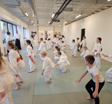 Aikido treniruotės vaikams