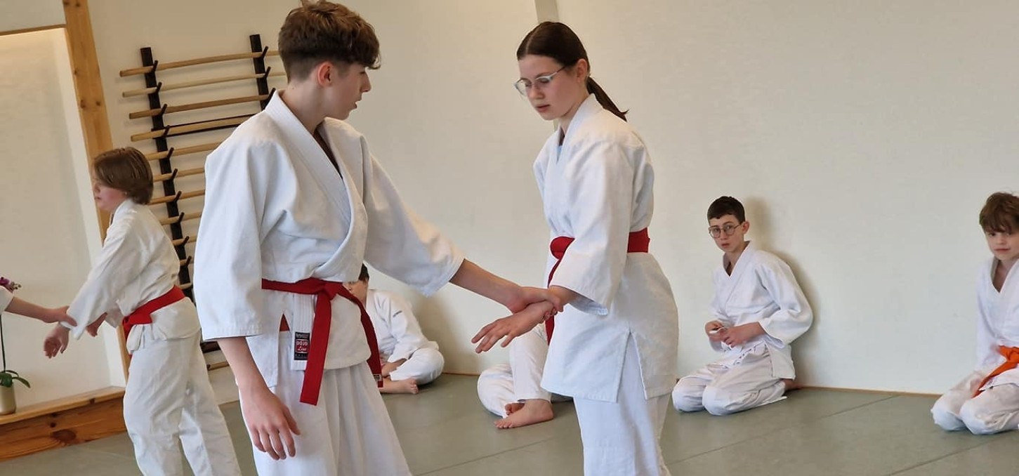 Aikido treniruotės paaugliams