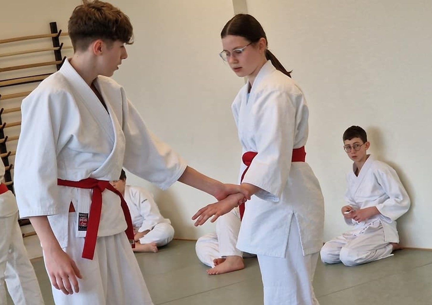 Aikido treniruotės paaugliams