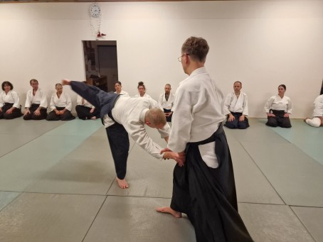 Aikido treniruotės suaugusiems