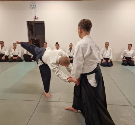 Aikido treniruotės suaugusiems