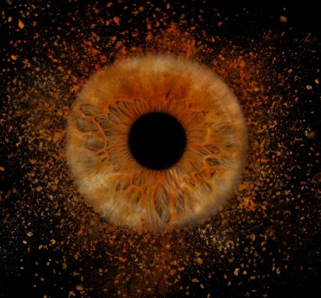 Skaitmeninė 1 akies rainelės nuotrauka studijoje „EyeArt“