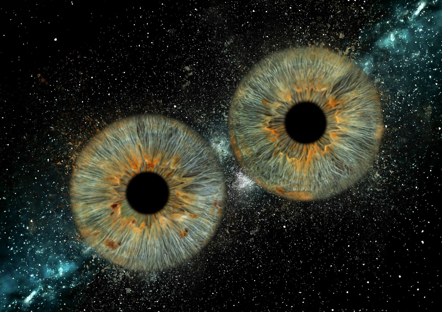 Skaitmeninė 2 akių rainelių nuotrauka su rėmeliu