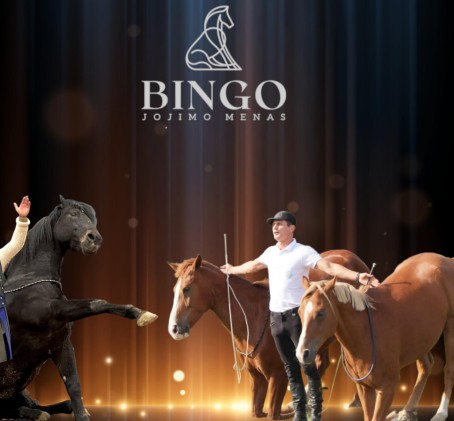 Įspūdingas žirgų teatro pasirodymas