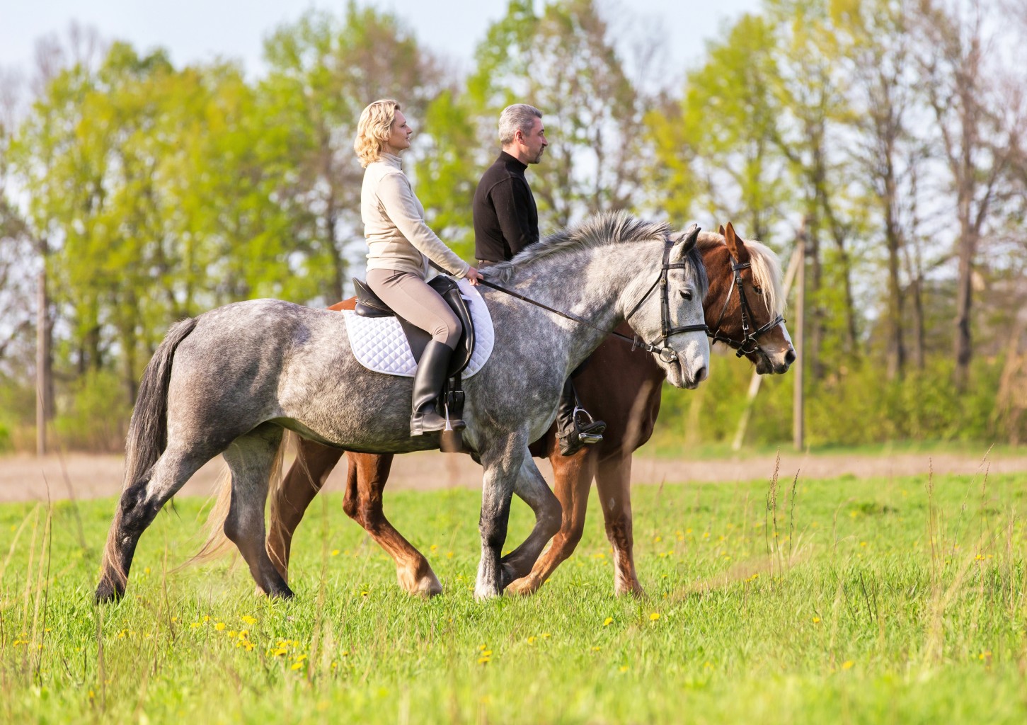 Šeimos jodinėjimo žygis po mišką