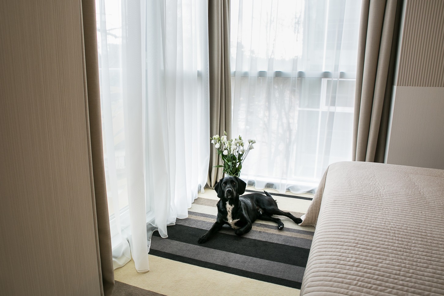 3 naktys DVIEM viešbutyje „Grand Baltic Dunes“ su pusryčiais ir SPA