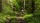 Enduro turas motociklais su „Vilnius Enduro Tours“ (4 val.)